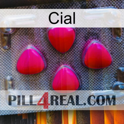 Cial 13